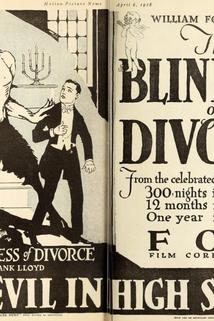 Profilový obrázek - The Blindness of Divorce