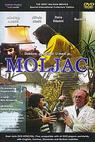 Moljac (1984)