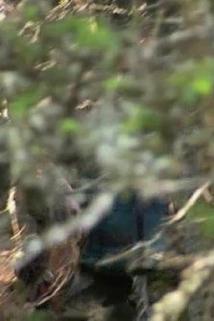 Profilový obrázek - Tommy and Steve