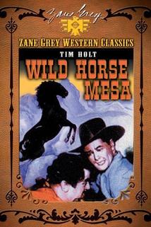 Profilový obrázek - Wild Horse Mesa
