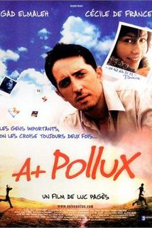 Profilový obrázek - A+ Pollux