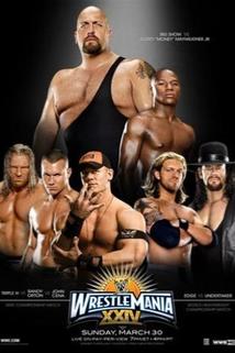 Profilový obrázek - WrestleMania XXIV