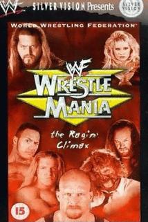 Profilový obrázek - WrestleMania XV