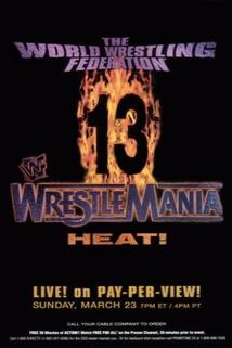 Profilový obrázek - WrestleMania 13