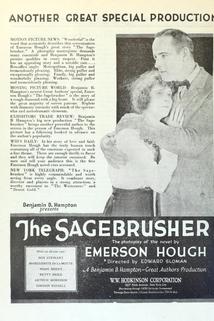 Profilový obrázek - The Sagebrusher