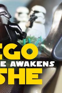 Profilový obrázek - The Force Awakens - Lego HISHE