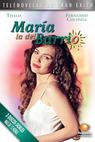 María la del Barrio (1995)