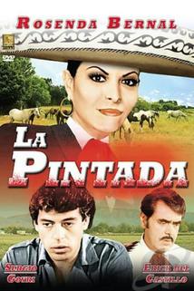 Profilový obrázek - Pintada, La