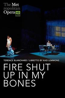 Profilový obrázek - Terence Blanchard: Fire Shut Up in My Bones