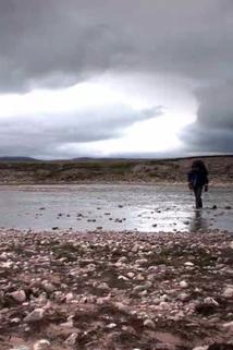 Profilový obrázek - Arctic Tundra