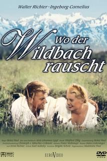 Profilový obrázek - Wo der Wildbach rauscht