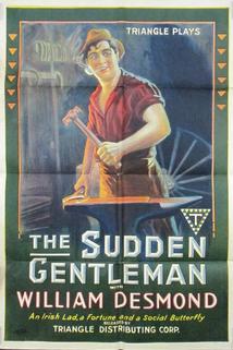 Profilový obrázek - The Sudden Gentleman