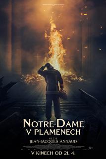 Profilový obrázek - Notre-Dame v plamenech