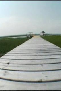 Profilový obrázek - What the Heck: Write a Check