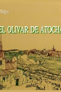 Profilový obrázek - El olivar de Atocha