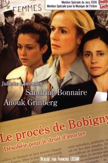 Procès de Bobigny, Le