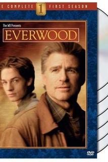 Profilový obrázek - The Miracle of Everwood