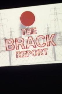 Profilový obrázek - The Brack Report