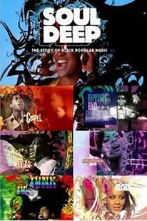 Profilový obrázek - Soul Deep: The Story of Black Popular Music