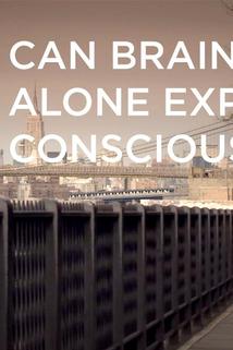 Profilový obrázek - Can Brain Alone Explain Consciousness?