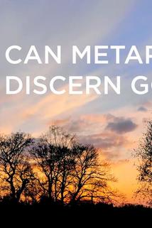 Profilový obrázek - Can Metaphysics Discern God II?