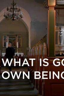 Profilový obrázek - What is God's Own Being?