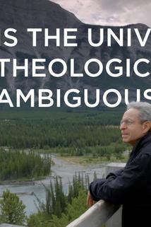 Profilový obrázek - Is the Universe Theologically Ambiguous?