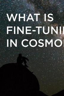 Profilový obrázek - What's Fine-Tuning in Cosmology?