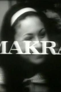 Profilový obrázek - Makra