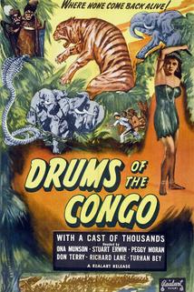 Profilový obrázek - Drums of the Congo