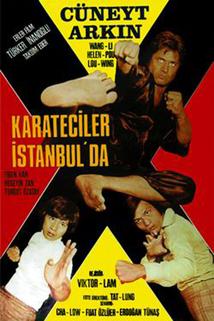 Profilový obrázek - Karateciler istanbulda