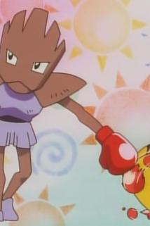 Profilový obrázek - Hand-to-Hand Fighting Pokémon! Big Battle!