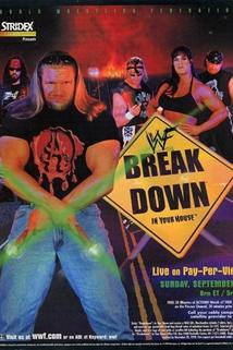 Profilový obrázek - WWF Breakdown: In Your House