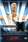 TNA Wrestling: Destination X (2005)
