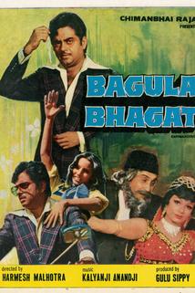 Profilový obrázek - Bagula Bhagat