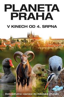 Profilový obrázek - Planeta Praha