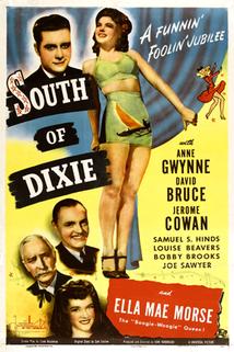 Profilový obrázek - South of Dixie