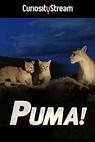 Puma, El (1959)