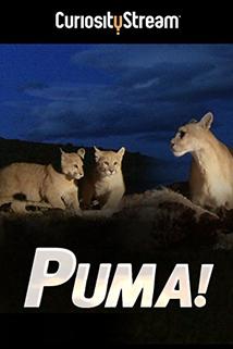 Profilový obrázek - Puma, El