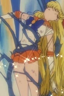 Profilový obrázek - The Sailor Soldiers Die! The Tragic Final Battle
