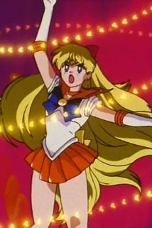 Profilový obrázek - Retire from the Sailor Senshi!? Minako's Concerns
