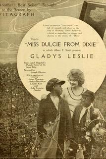 Profilový obrázek - Miss Dulcie from Dixie