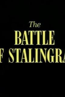 Profilový obrázek - The Battle of Stalingrad