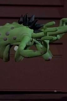 Profilový obrázek - Long Long Day/Destructo's Flipside