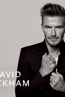 Profilový obrázek - The Real David Beckham