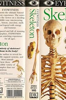 Profilový obrázek - Skeleton