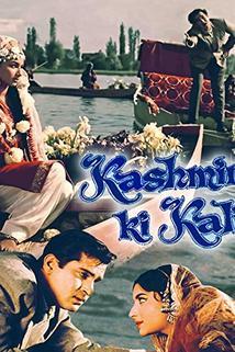 Profilový obrázek - Kashmir Ki Kali