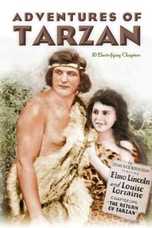 Profilový obrázek - The Adventures of Tarzan
