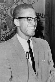 Profilový obrázek - Malcolm X: Make It Plain