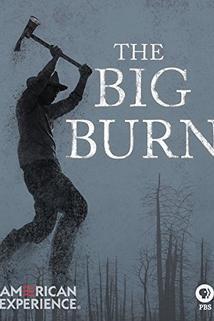 Profilový obrázek - The Big Burn